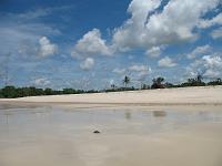  Plage à marée basse